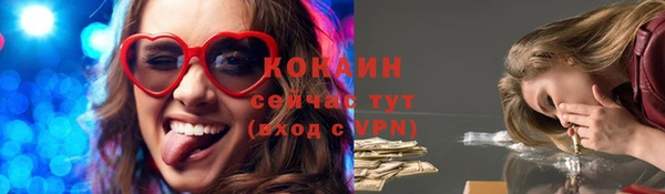 гашик Володарск