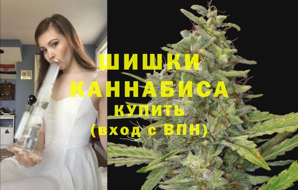 стафф Волосово