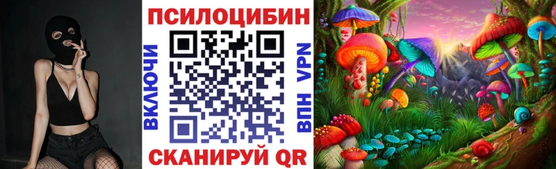 Галлюциногенные грибы Magic Shrooms  МЕГА ССЫЛКА  Зарайск  купить  сайты 